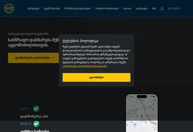 Screenshot of sosauto.ge