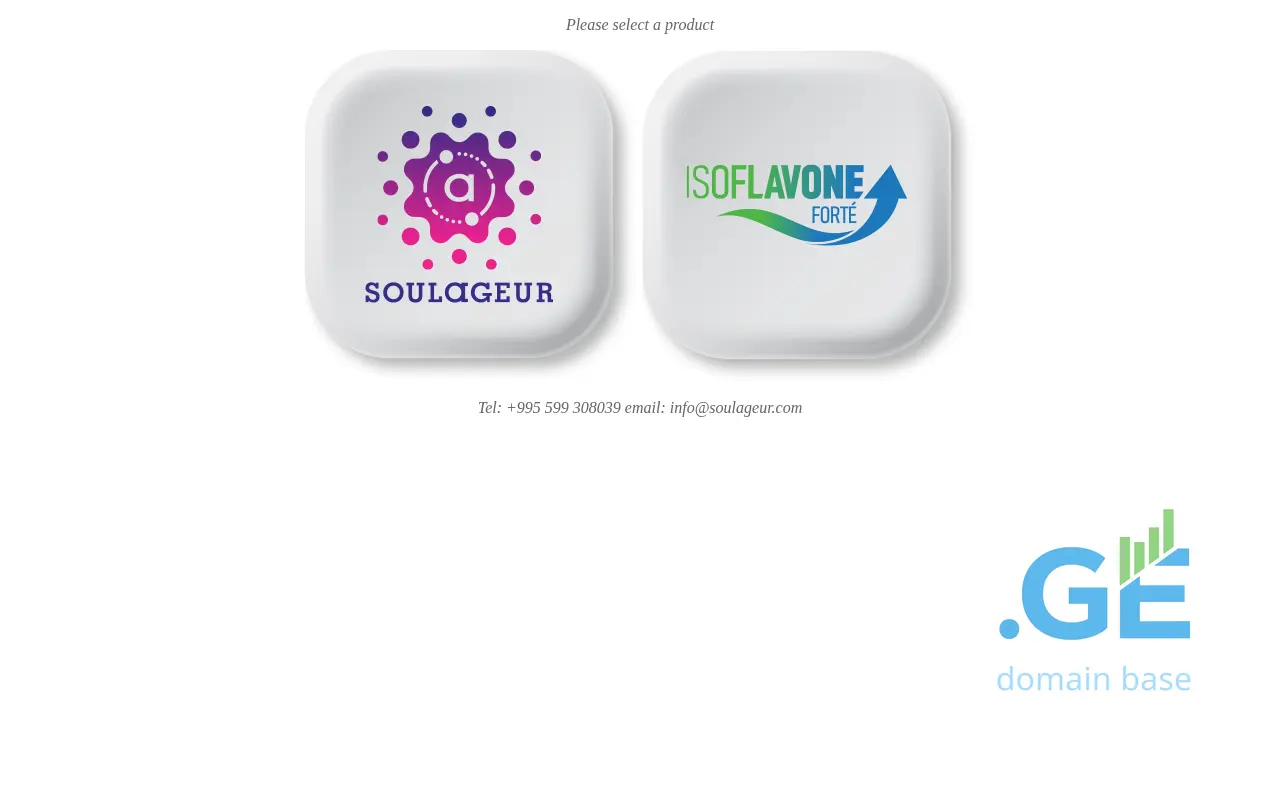 Screenshot of the site soulageur.ge