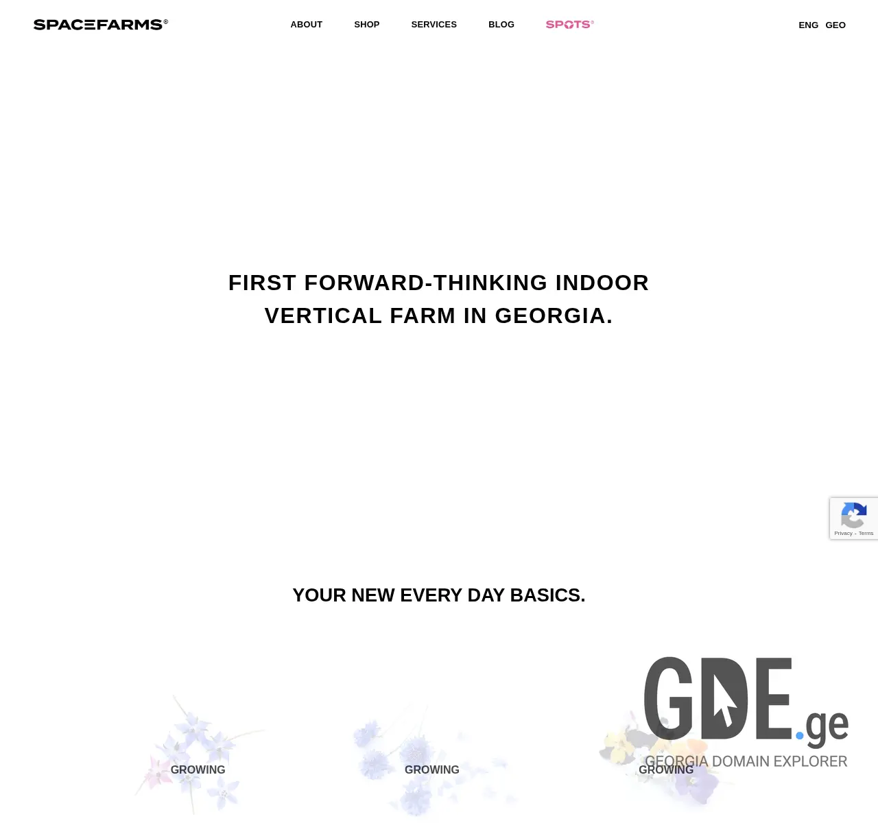 Screenshot of the site spacefarms.ge at 2025-11-25