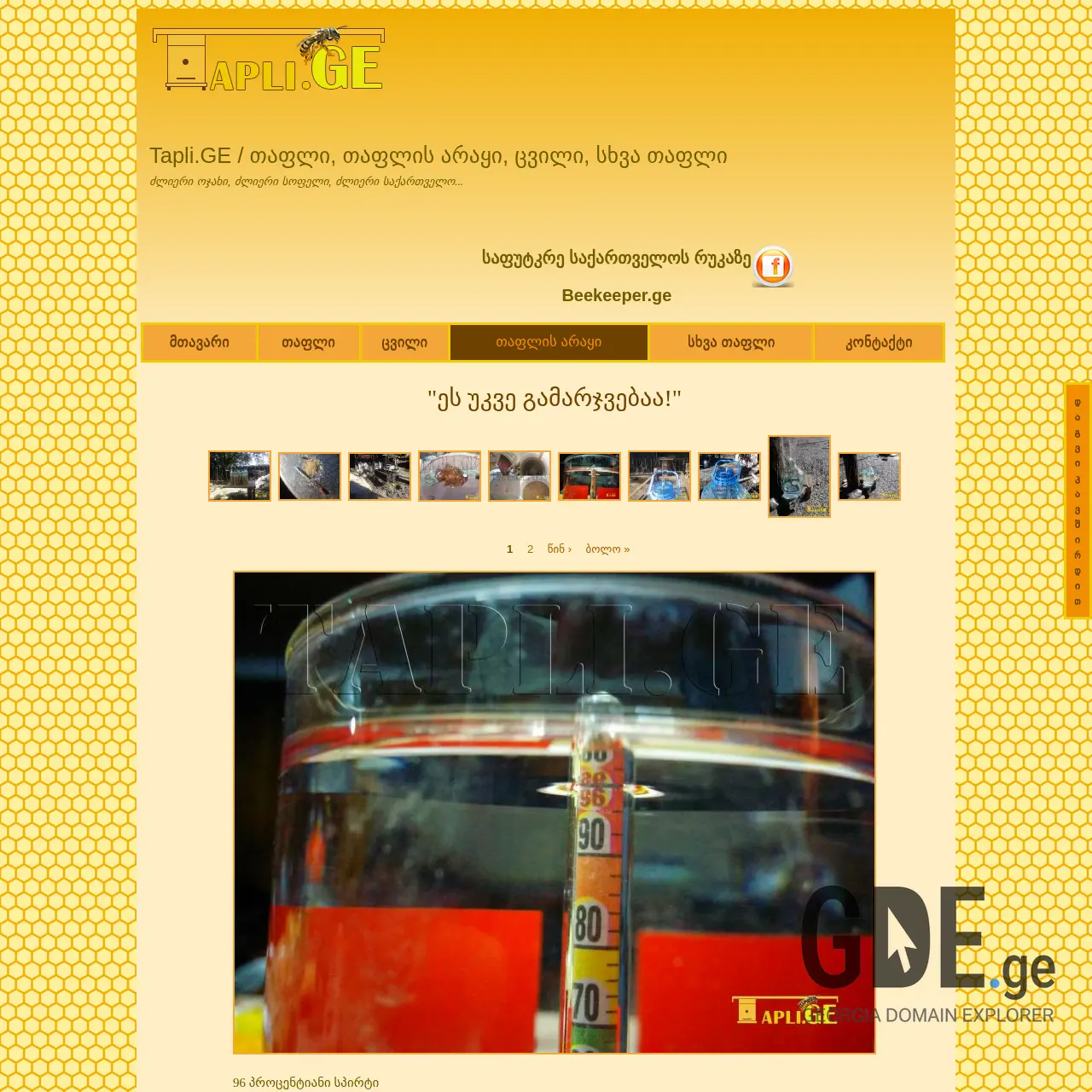 Screenshot of the site spirti.ge at 2025-12-13