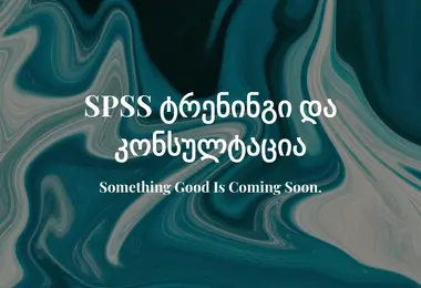 Скриншот spss.ge