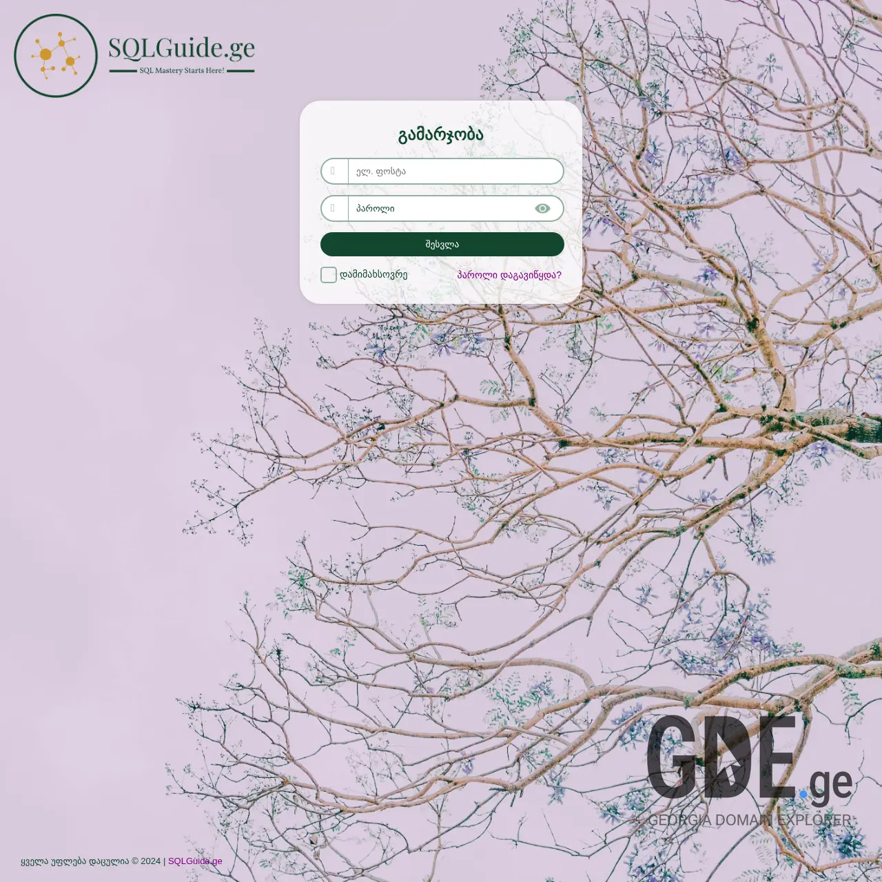 Screenshot of the site sqlguide.ge at 2025-12-13