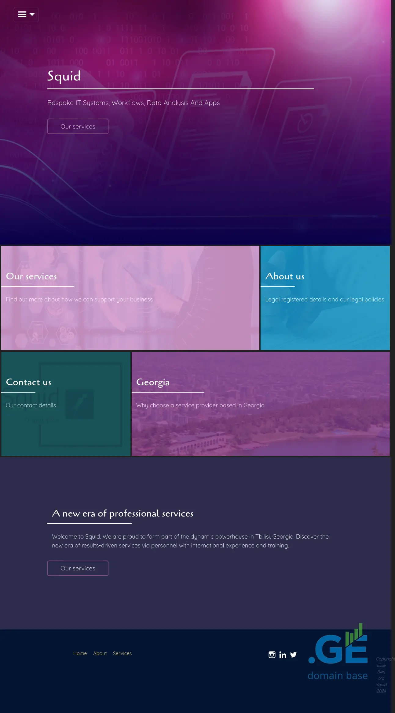 Screenshot of the site squid.ge