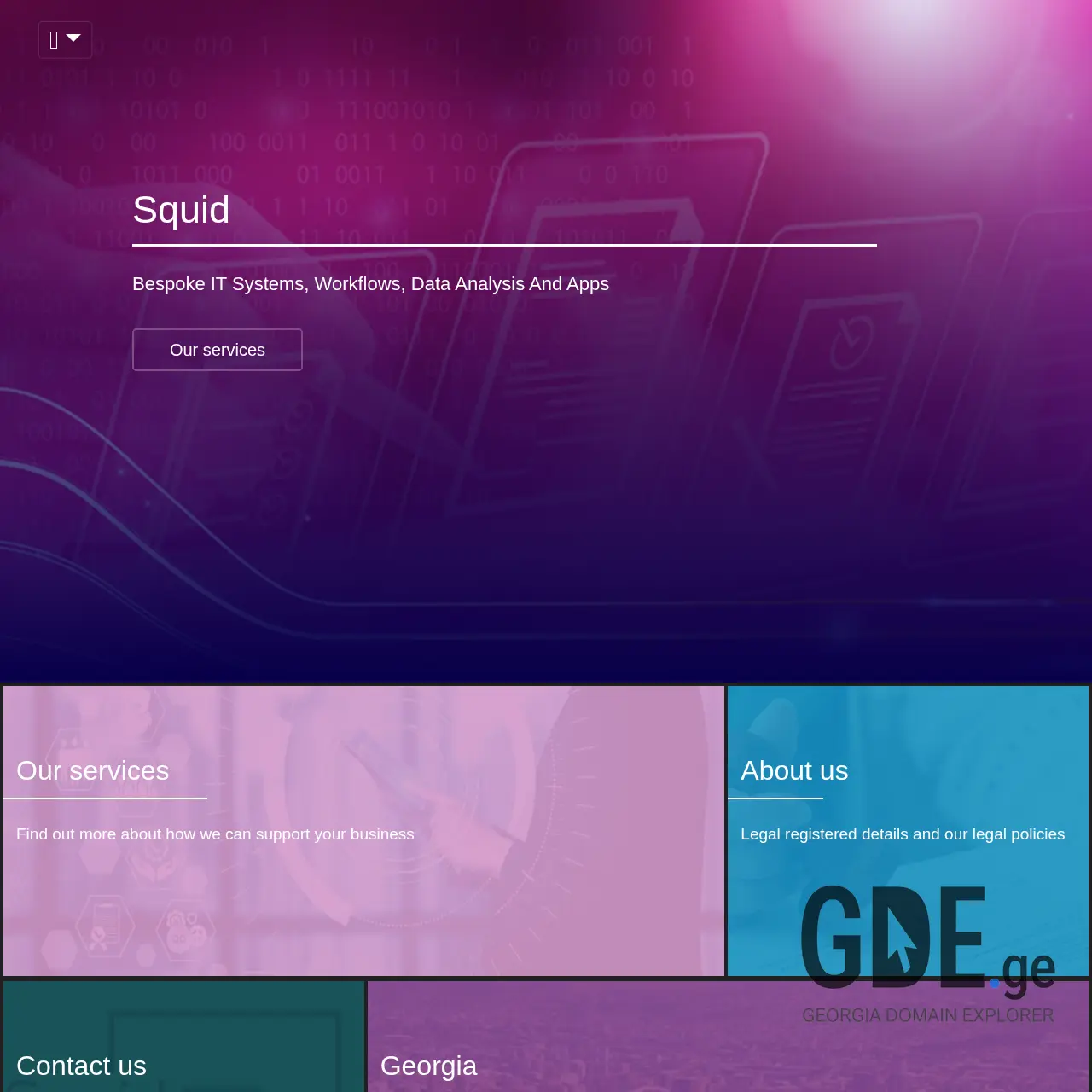 Screenshot of the site squid.ge at 2025-12-13