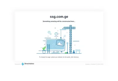 Screenshot of ssg.com.ge