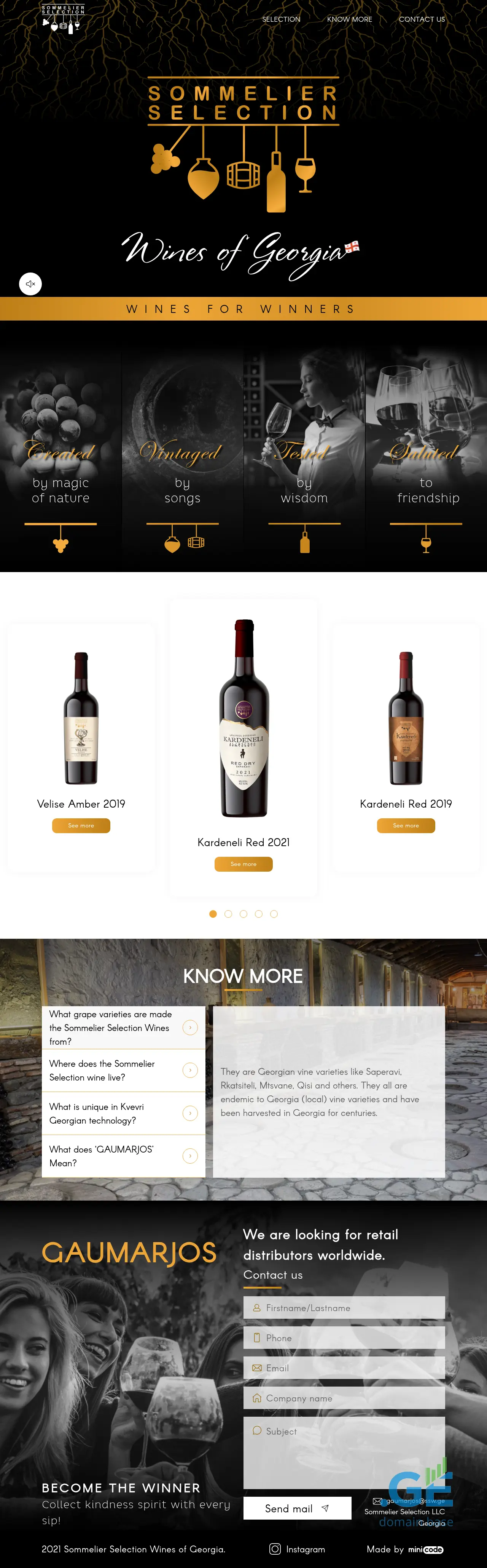 Screenshot of the site ssw.ge