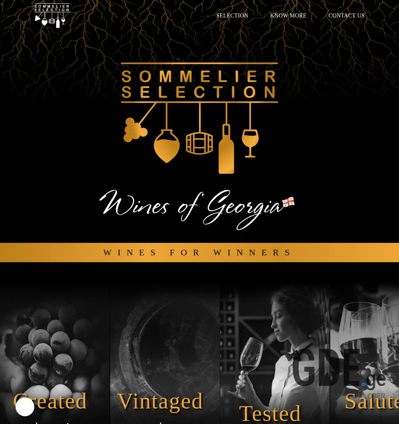 Screenshot of the site ssw.ge at 2025-12-03