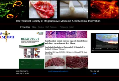Screenshot of stemcell.ge