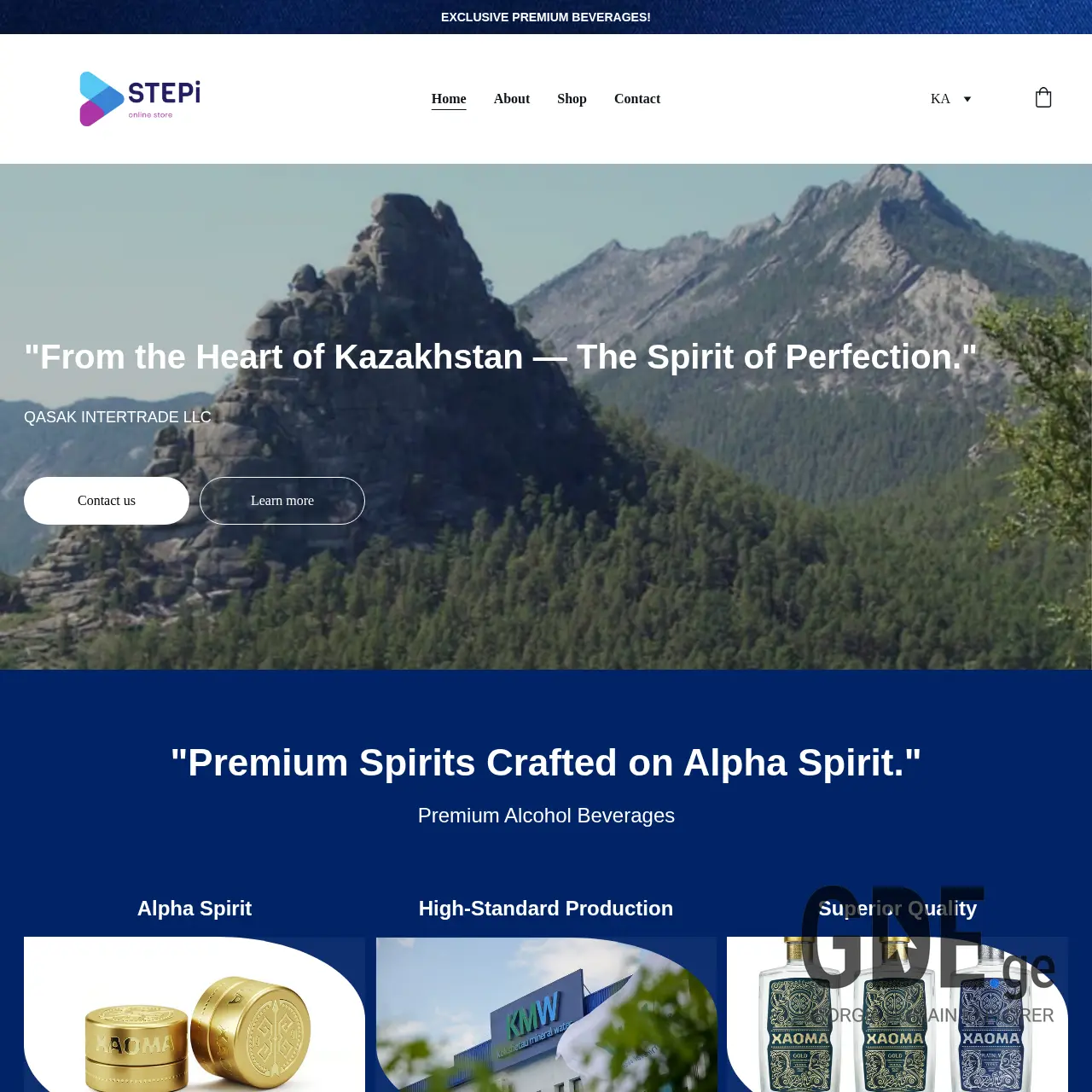 Screenshot of the site stepi.ge at 2025-12-12