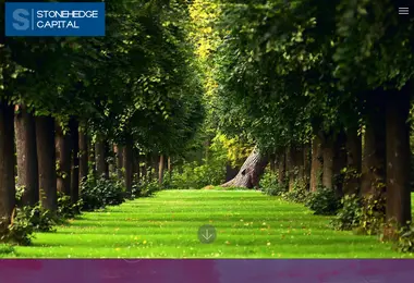 Screenshot of stonehedge.ge