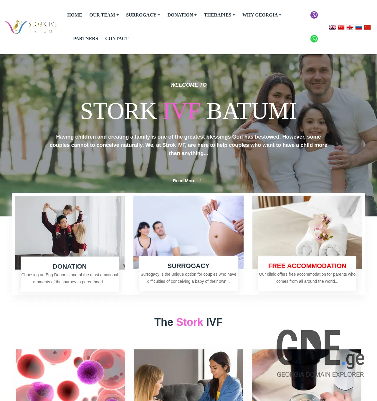 Screenshot of the site storkivf.ge at 2025-12-03