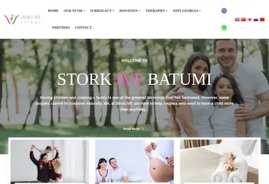 Screenshot of storkivf.ge