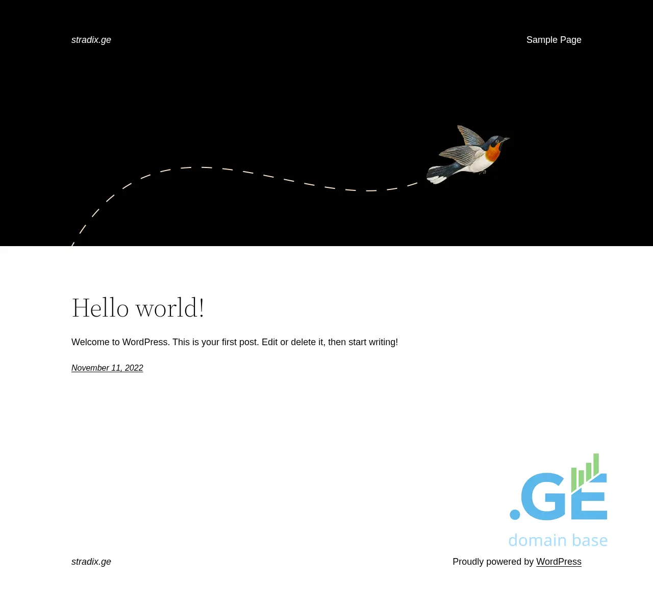Screenshot of the site stradix.ge