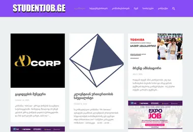 Screenshot of studentjob.ge