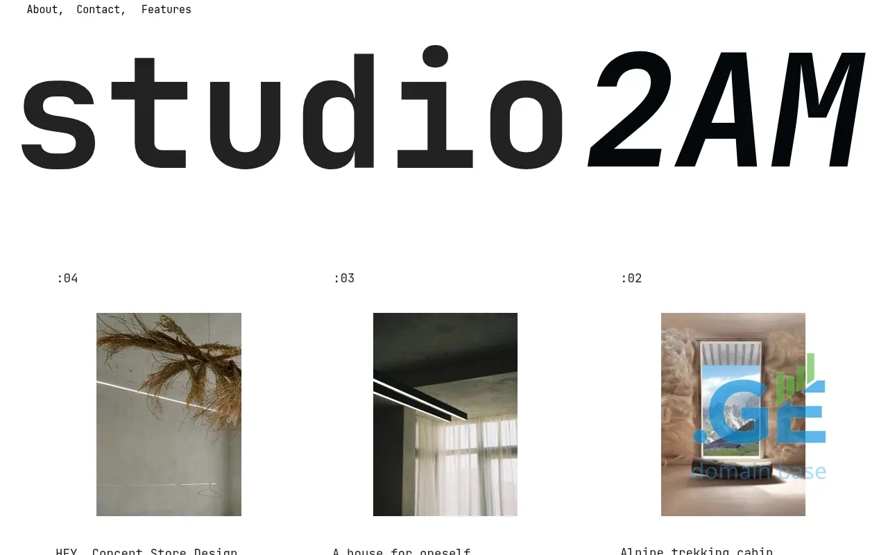 Screenshot of the site studio2am.ge