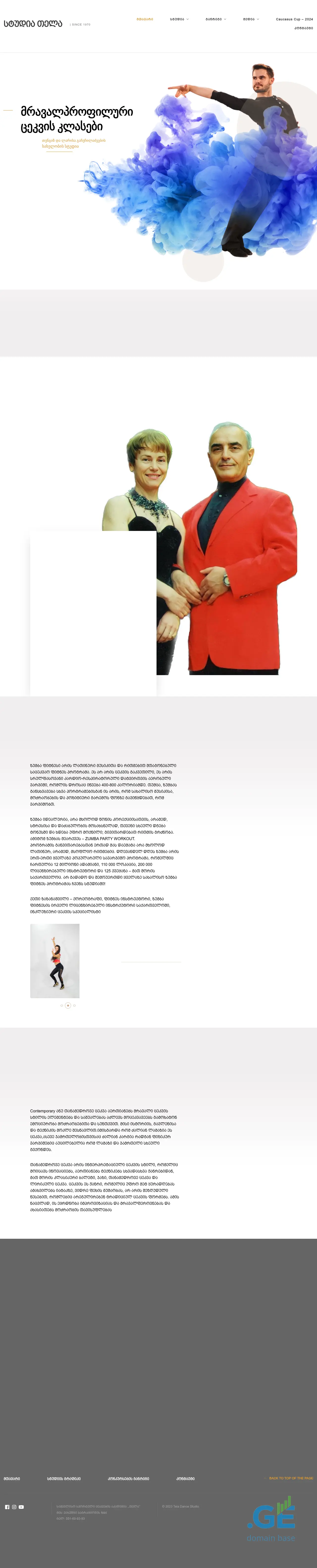 Screenshot of the site studiotela.ge