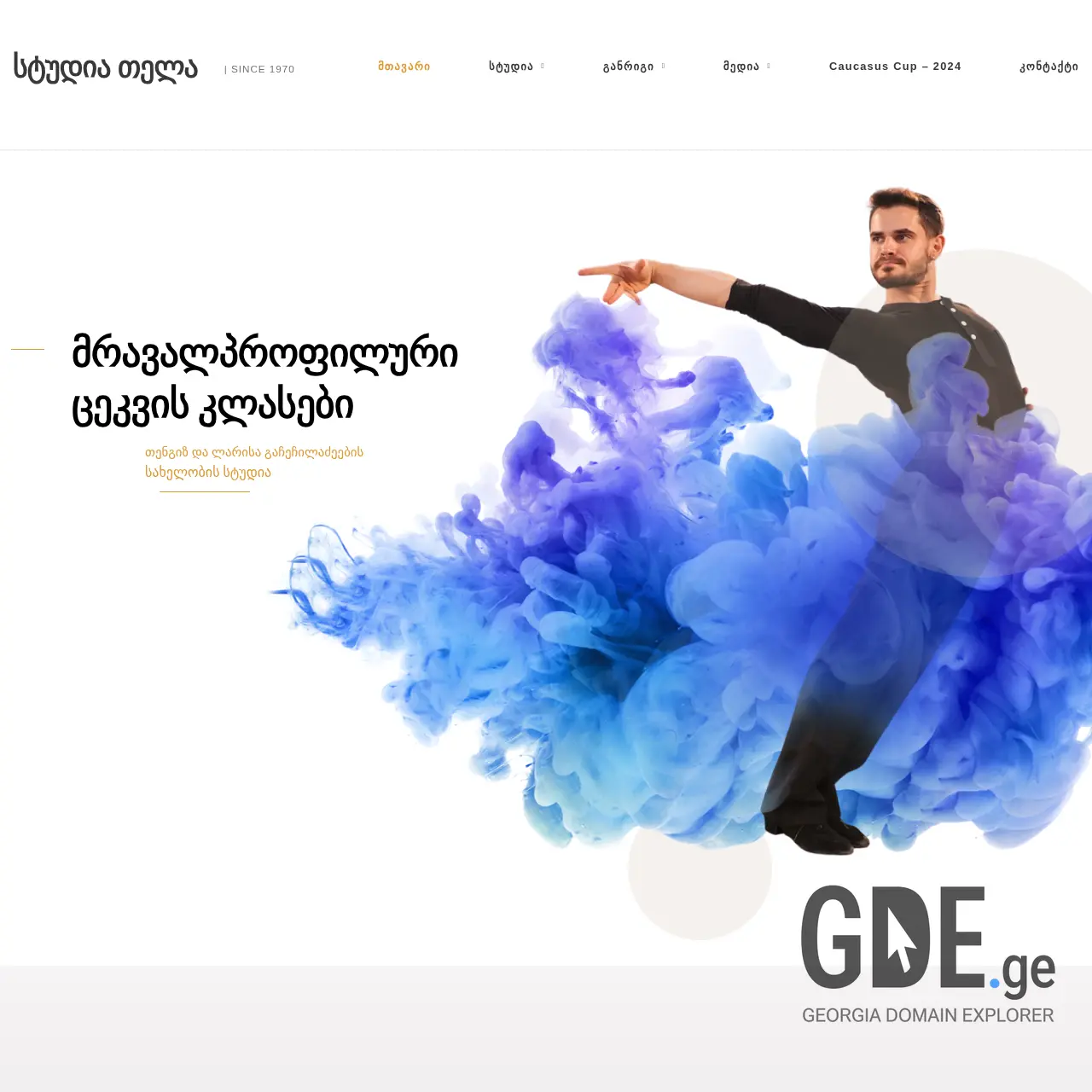 Screenshot of the site studiotela.ge at 2025-12-13