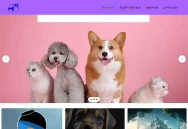 Screenshot of superveti.ge