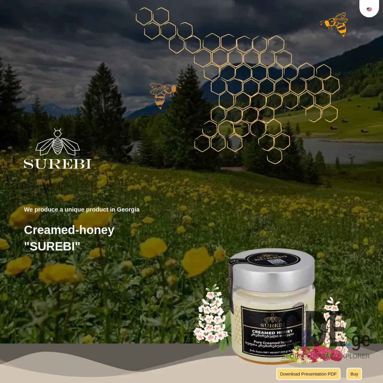 Screenshot of the site surebi.ge at 2025-12-13