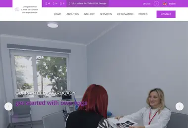 surrogacy.ge-ის ეკრანის სურათი