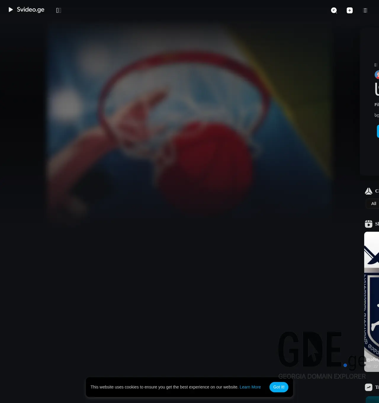 Screenshot of the site svideo.ge at 2025-12-01