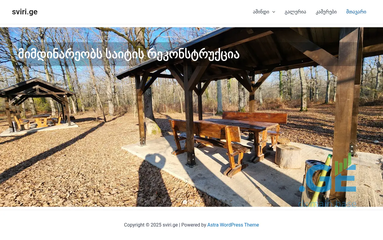 Screenshot of the site sviri.ge