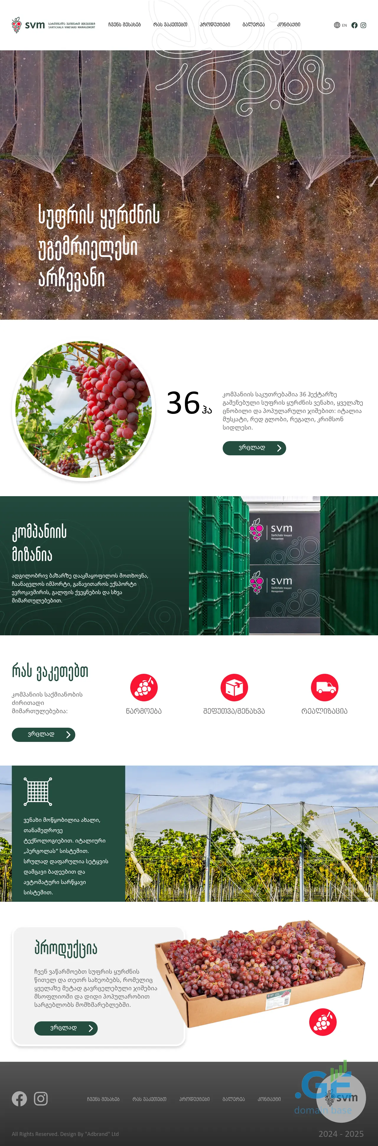 Screenshot of the site svm.ge
