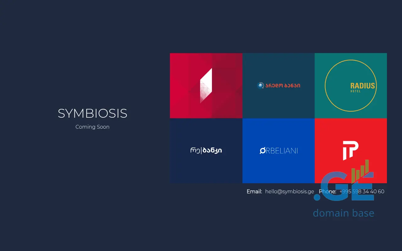 Screenshot of the site symbiosis.ge