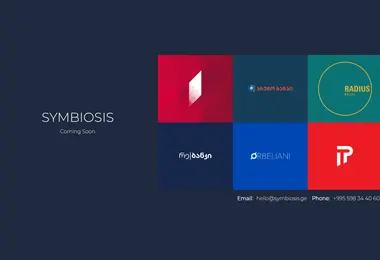 Screenshot of symbiosis.ge