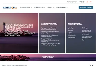 Screenshot of synergy.ge