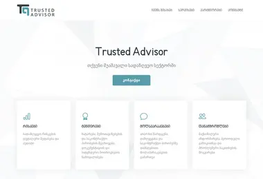 Screenshot of tainsurance.ge