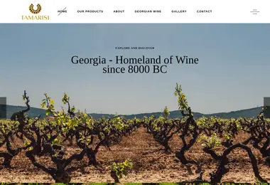 Screenshot of tamarisiwine.ge
