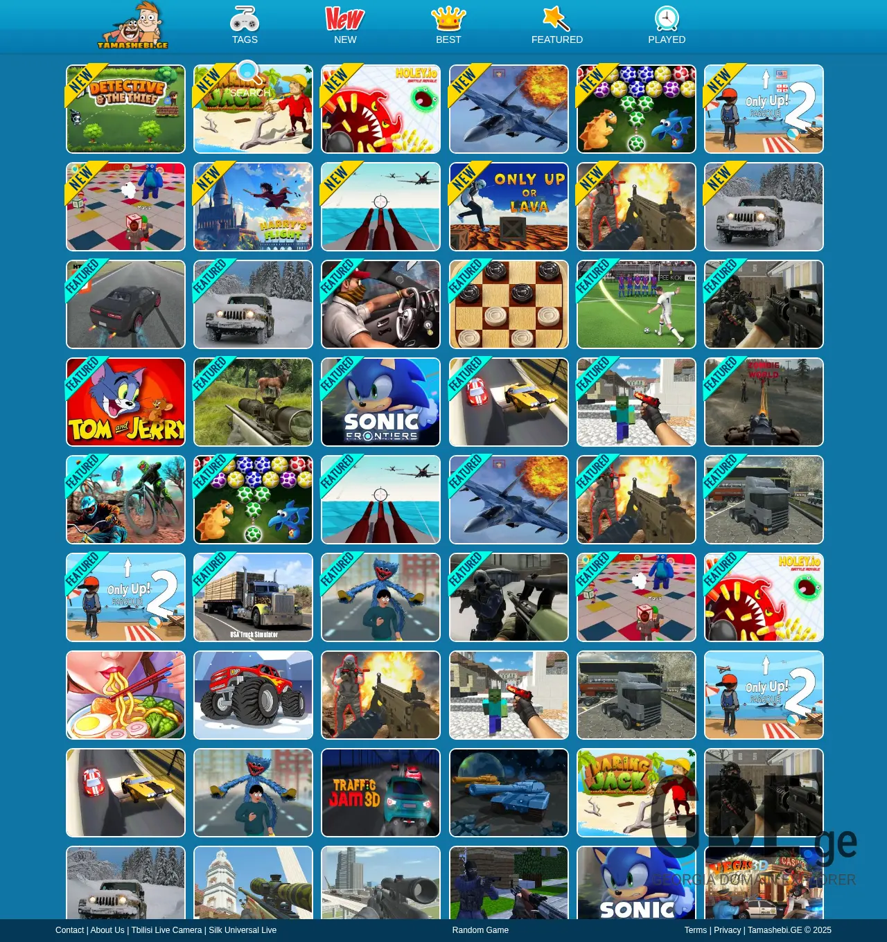 Screenshot of the site tamashebi.ge at 2025-12-01