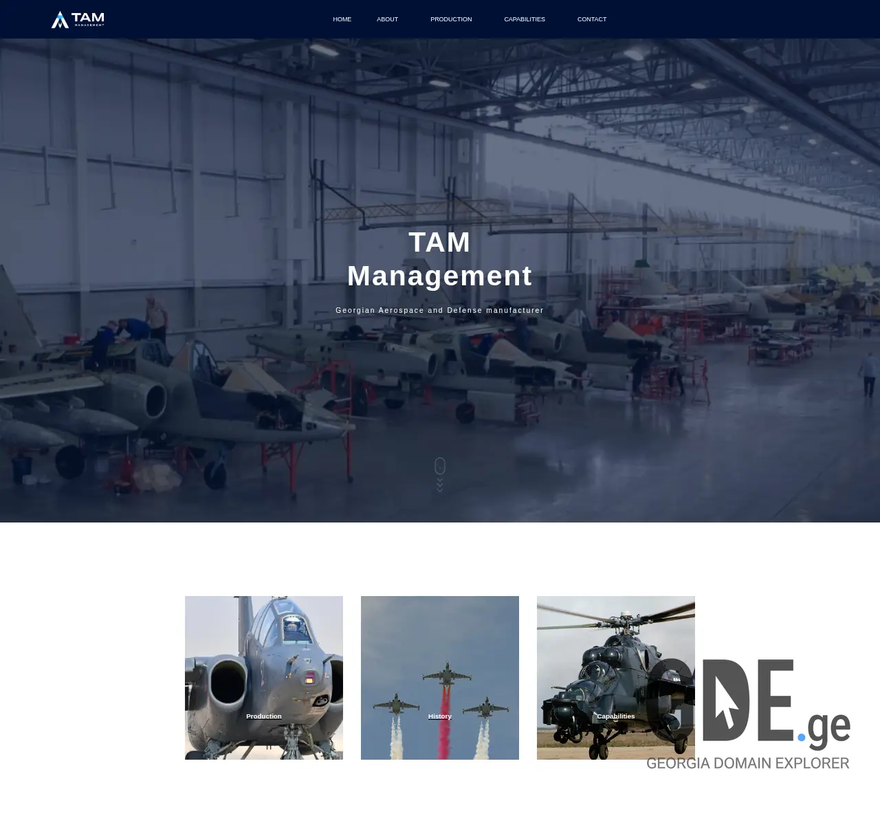 Screenshot of the site tamm.ge at 2025-11-25