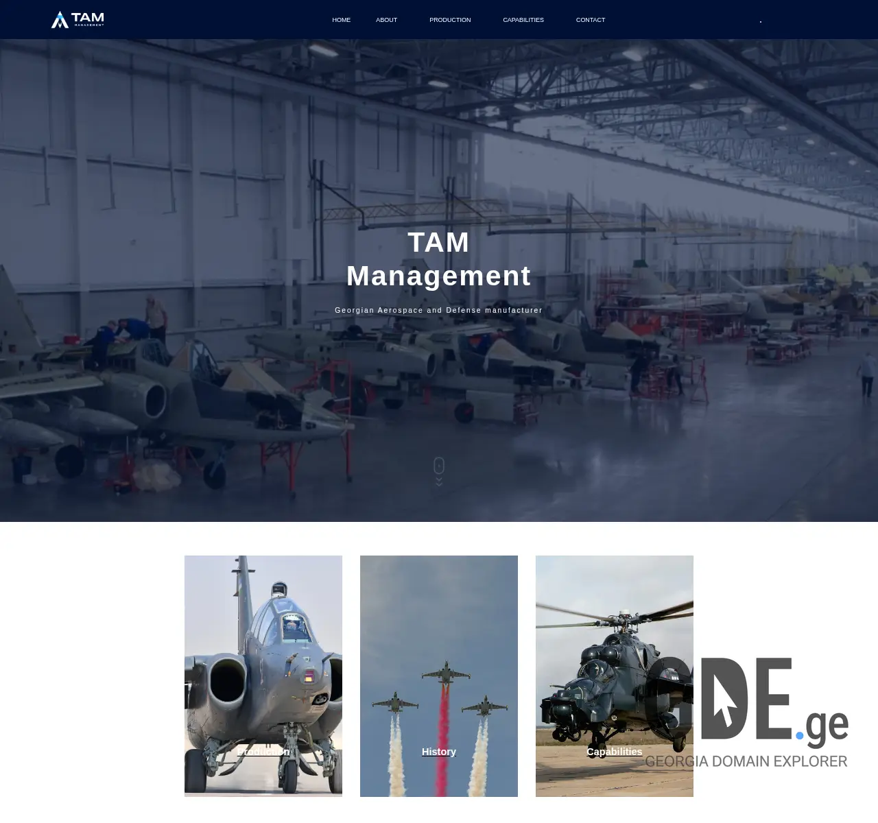 Screenshot of the site tammanagement.ge at 2025-11-25