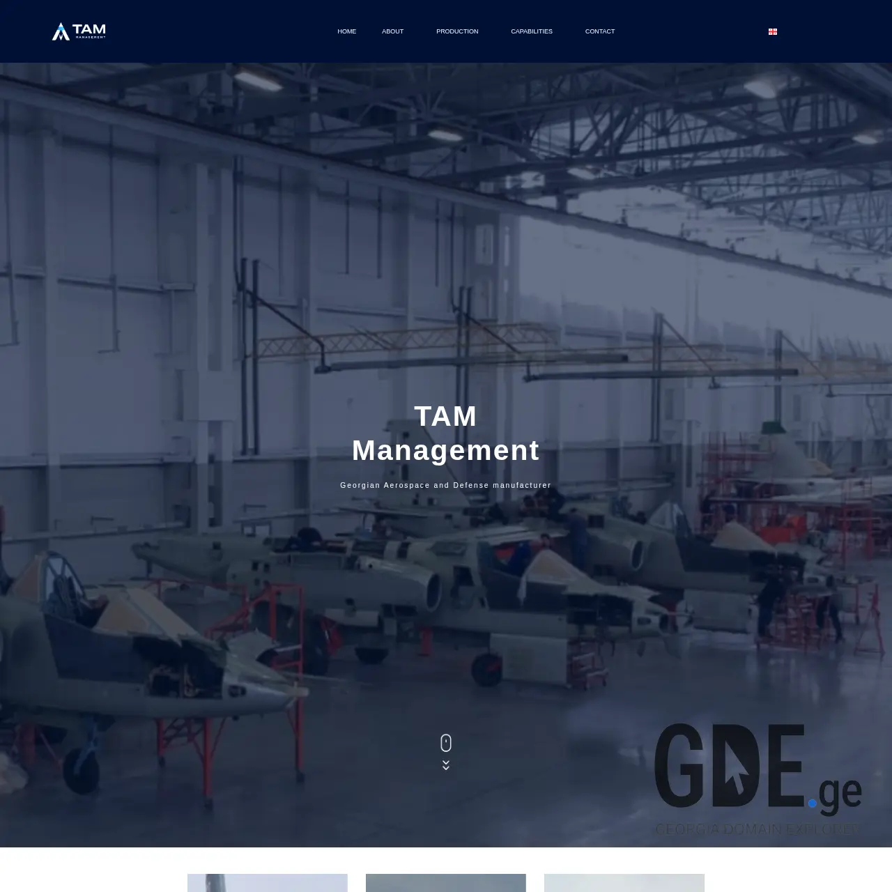 Screenshot of the site tammanagement.ge at 2025-12-15