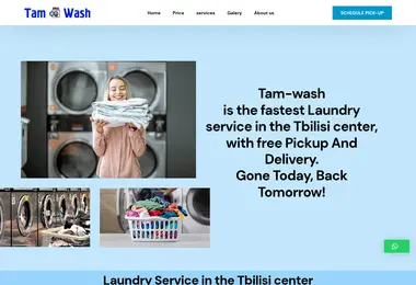 Screenshot of tamwash.ge