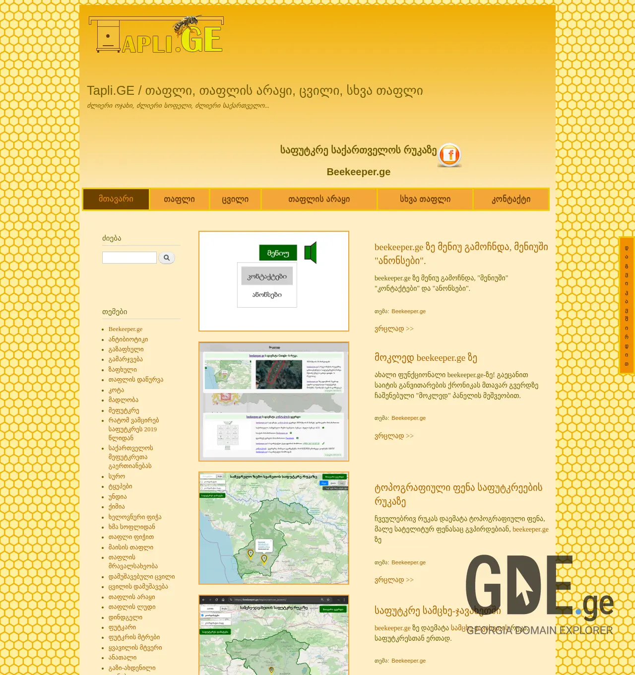 Screenshot of the site tapli.ge at 2025-11-29