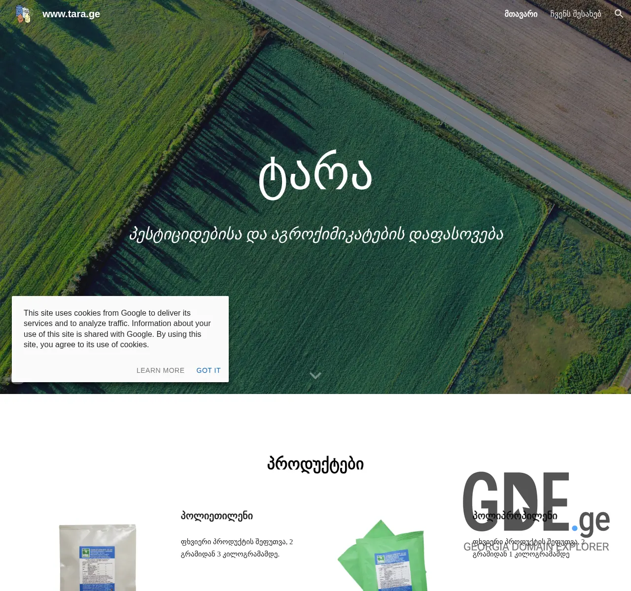 Screenshot of the site tara.ge at 2025-11-24