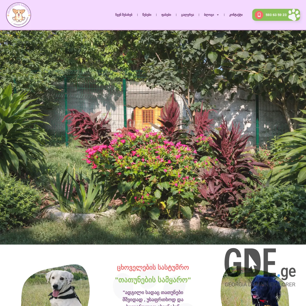 Screenshot of the site tatunebissamyaro.ge at 2026-02-18