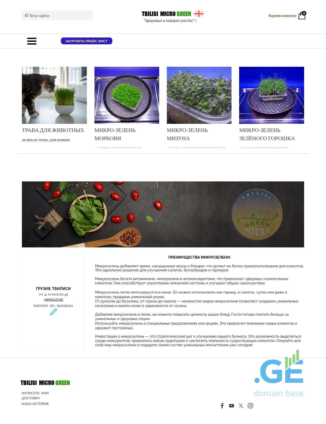 Screenshot of the site tbilisimicrogreen.ge