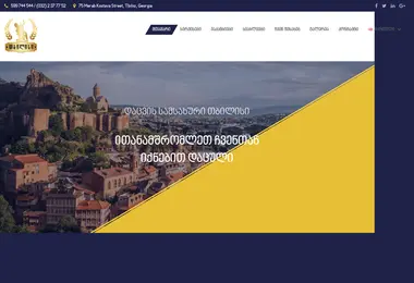 tbilisisecurity.ge-ის ეკრანის სურათი