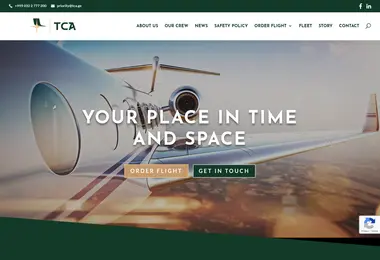Screenshot of tca.ge