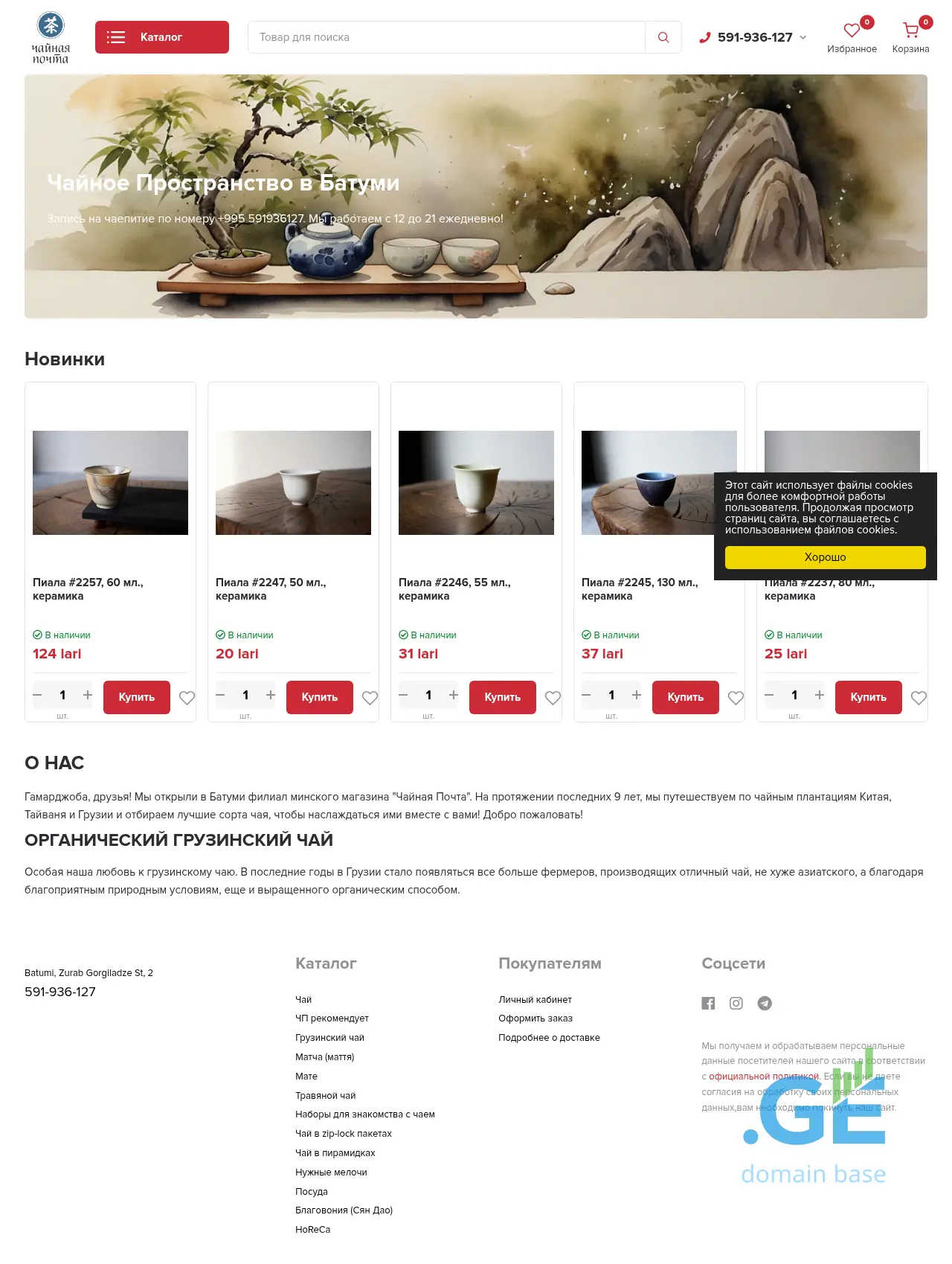 Screenshot of the site teamail.ge