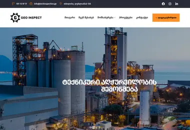 Скриншот techinspection.ge