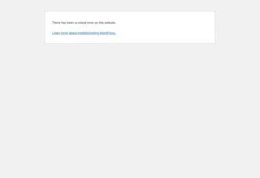 Screenshot of techio.ge