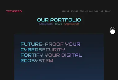 Screenshot of techseed.ge