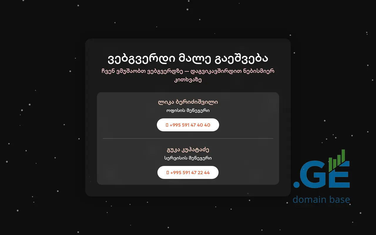 Screenshot of the site tecservice.ge