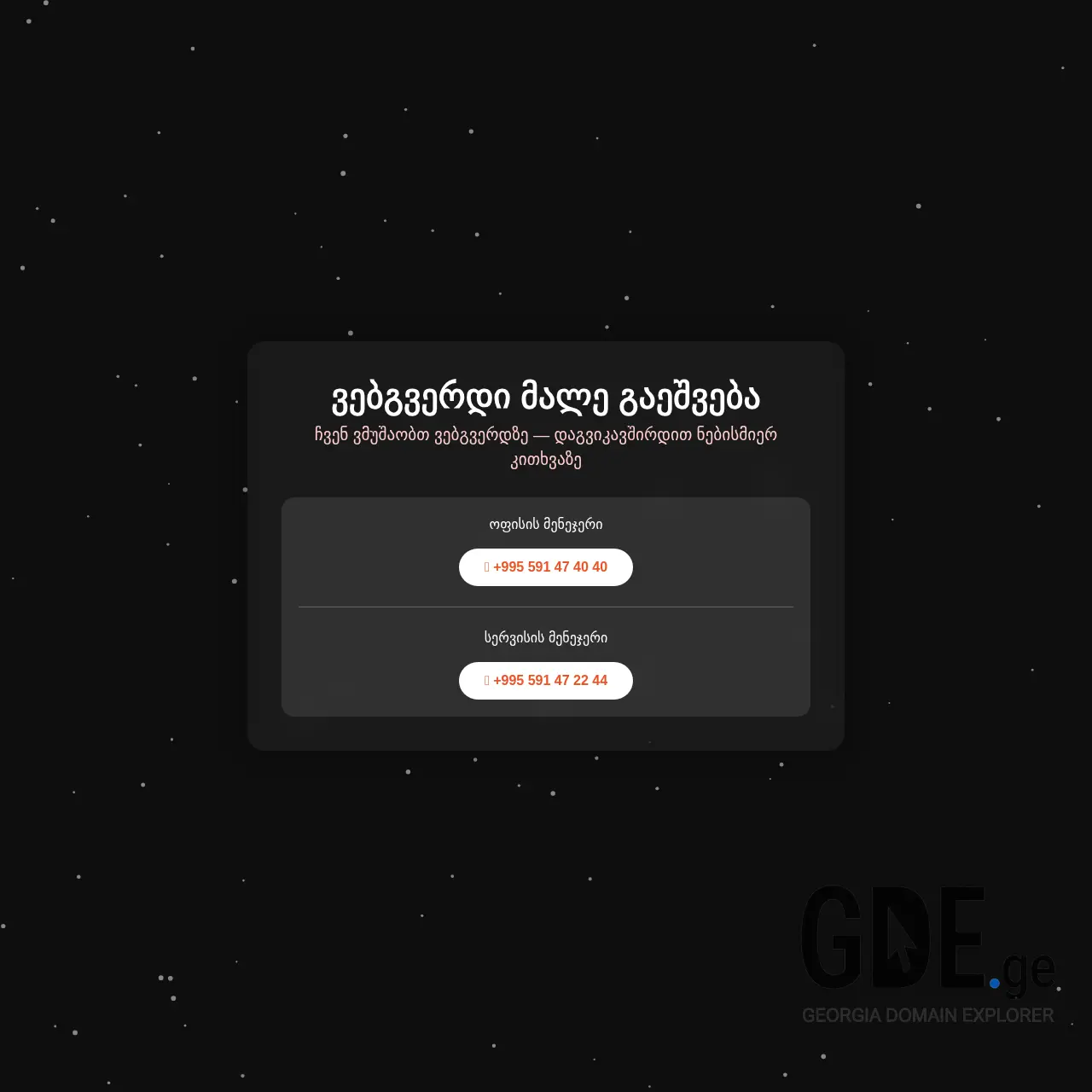 Screenshot of the site tecservice.ge at 2026-02-27