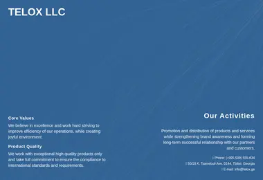 Скриншот telox.ge